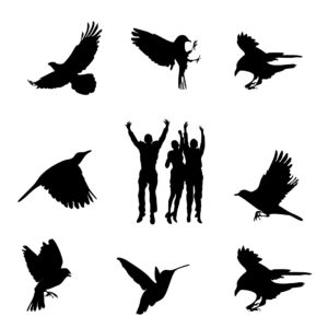 free birds