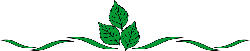leaf border